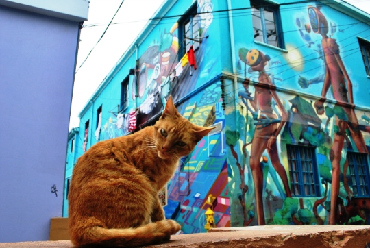 Valparaiso street art, grafite, LikeChile, Chile graffti