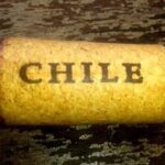 Dicas de compras de vinho no Chile