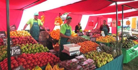 onde comprar frutas e verduras em Santiago do Chile feira livre