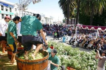 Vindima (vendimia) e as festas da colheita da uva no Chile