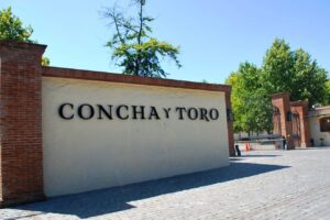Tour viña Concha y Toro, vinicola Concha y Toro, vinicula, LikeChile