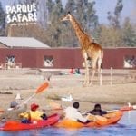 Parque Safari Chile, Cómo chegar, valores, preços