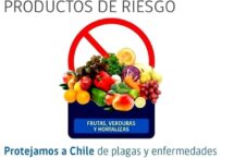 Quais alimentos proibidos no Chile?