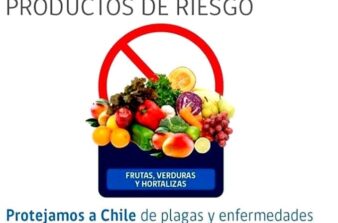 Quais alimentos proibidos no Chile?