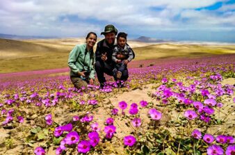 Deserto florido no Chile