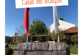Vinícola Casas del Bosque