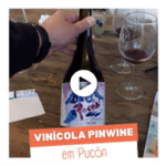 Pinwine vinícola em Pucón