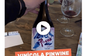 Pinwine vinícola em Pucón